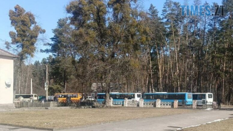 Чи зросте вартість проїзду в звягельських автобусах через здорожчання пального?