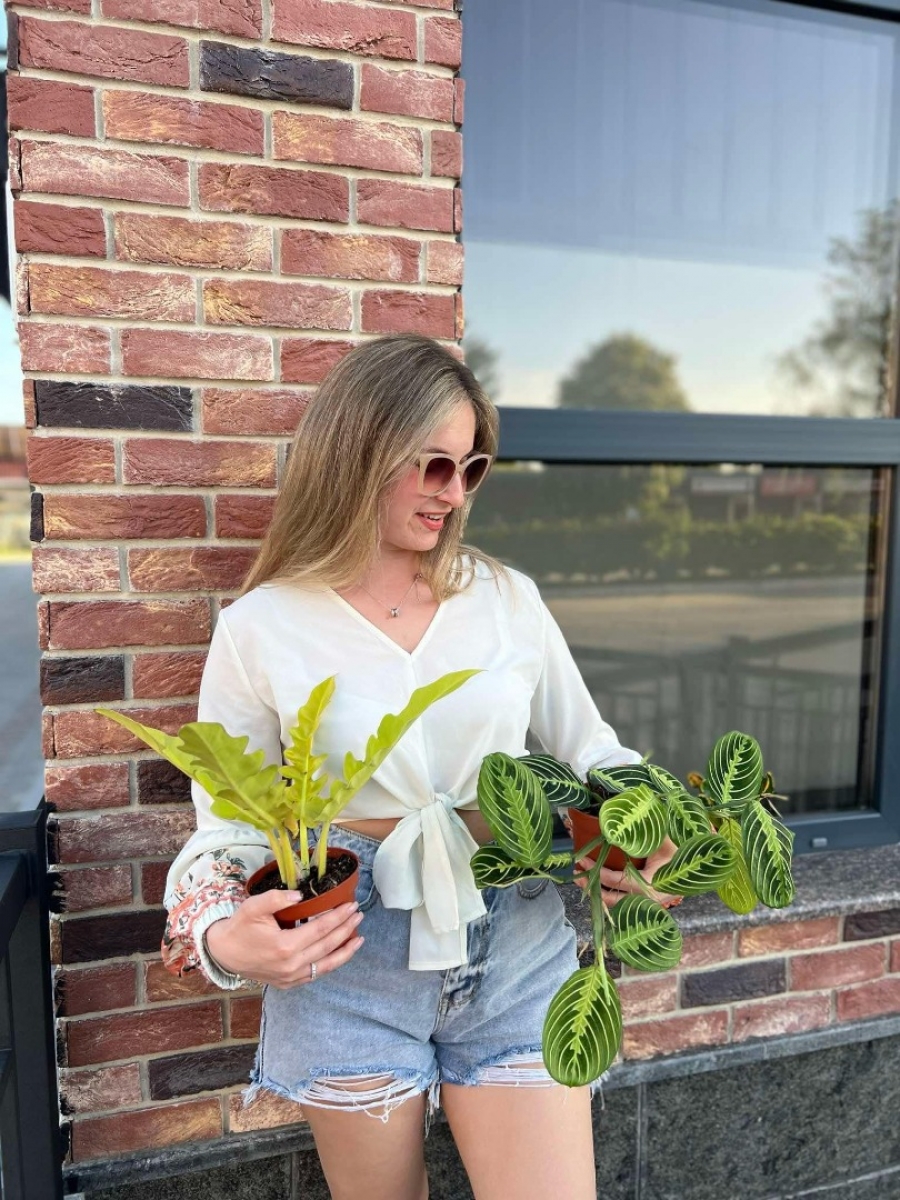 «Цікавість дослідника та любов до естетики — справа, яка дає неймовірний ресурс»