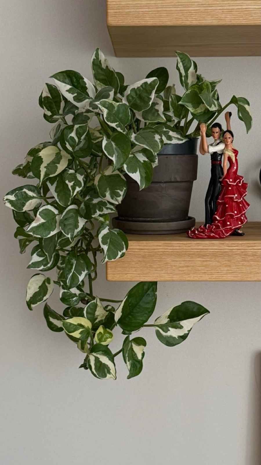 «Цікавість дослідника та любов до естетики — справа, яка дає неймовірний ресурс»